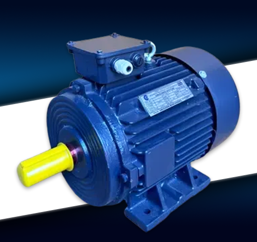 Industrial Motor